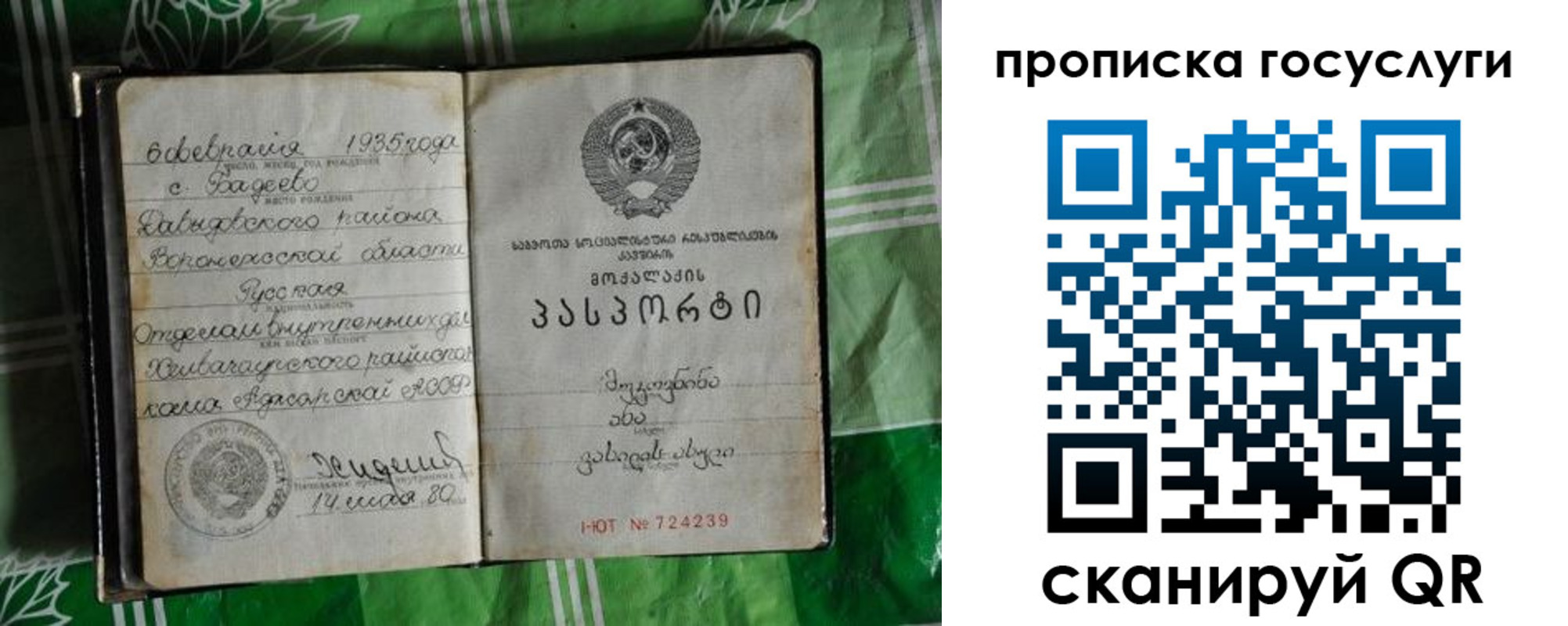 прописка паспорт в Курской области